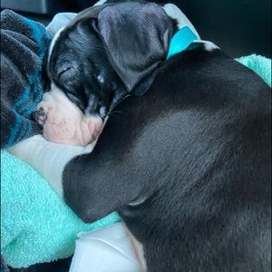 Meet your Posher, Madison